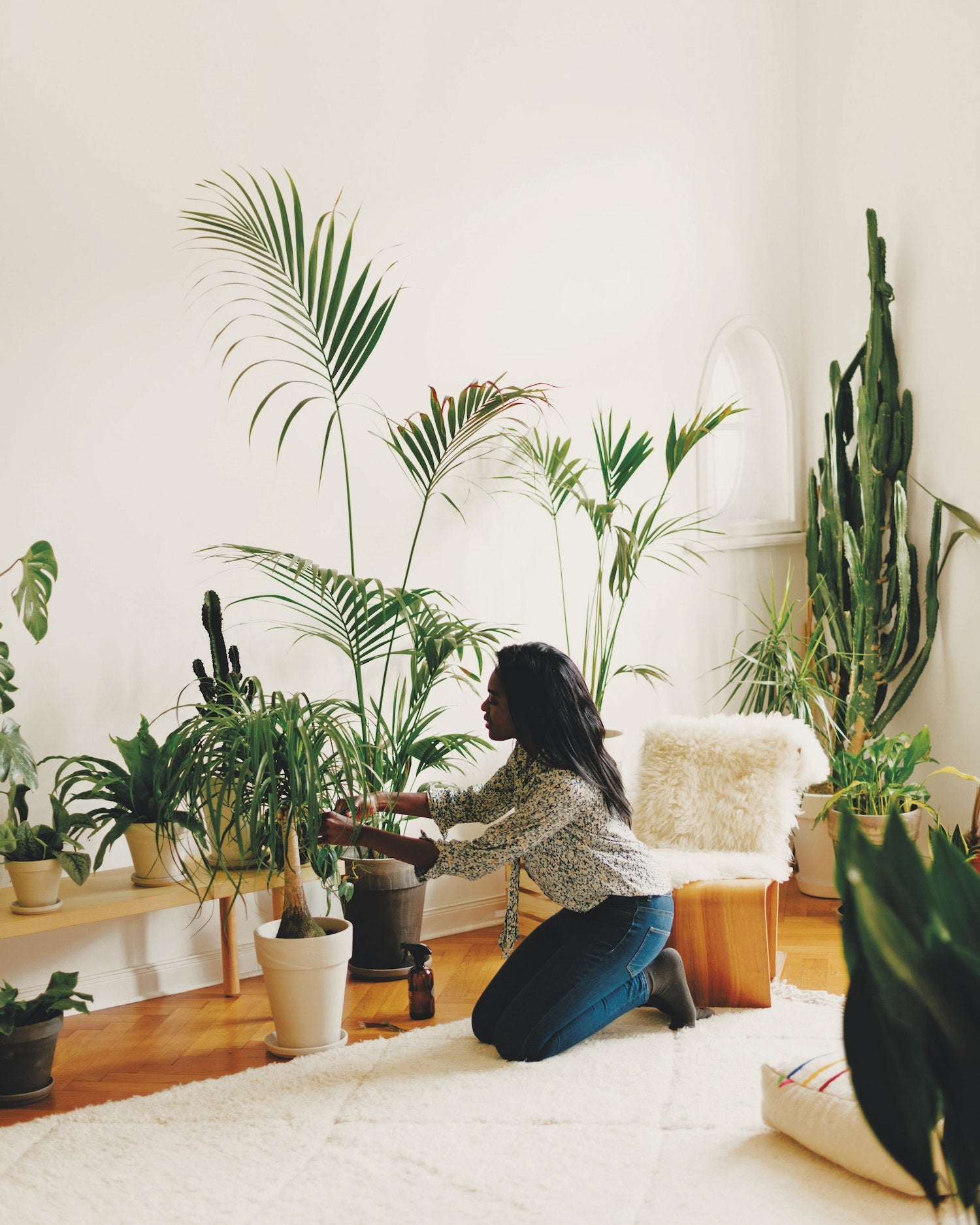 Deborah Choi runs plant-care platform Horticure, find out more about her in The World's Best Shops by Courier Magazine and gestalten