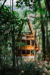 Nature offers the best design solutions in the Monkey House by Atelier Marko Brajovic Paraty in Brazil. Learn everything about it in Cabin Fever by gestalten.