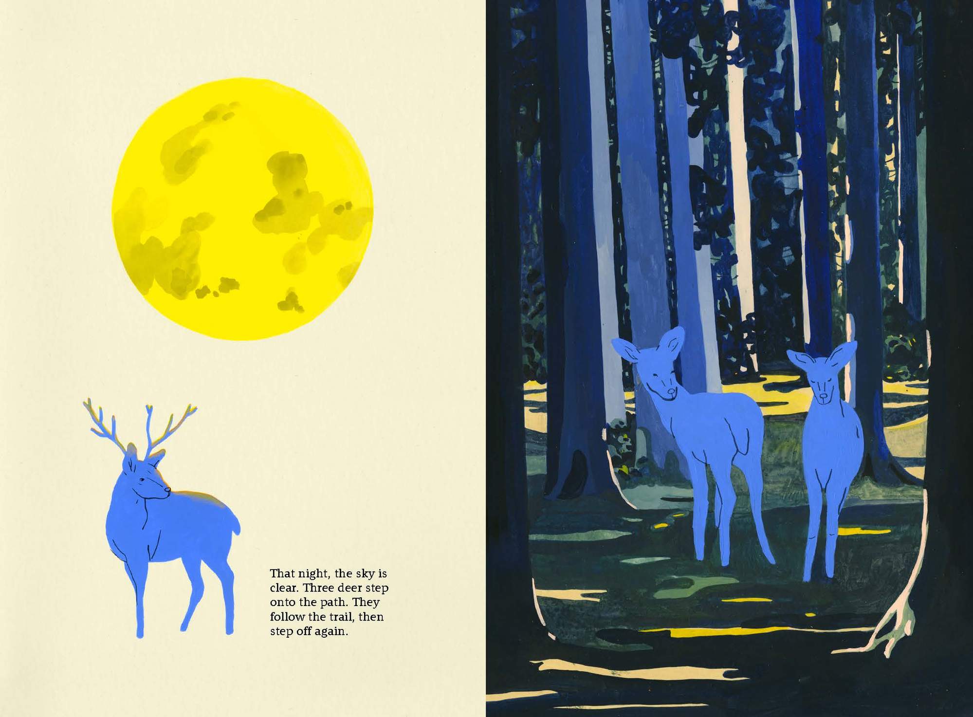 That night, the sky is clear. Three deer step onto the path. They follow the trail, then step off again.