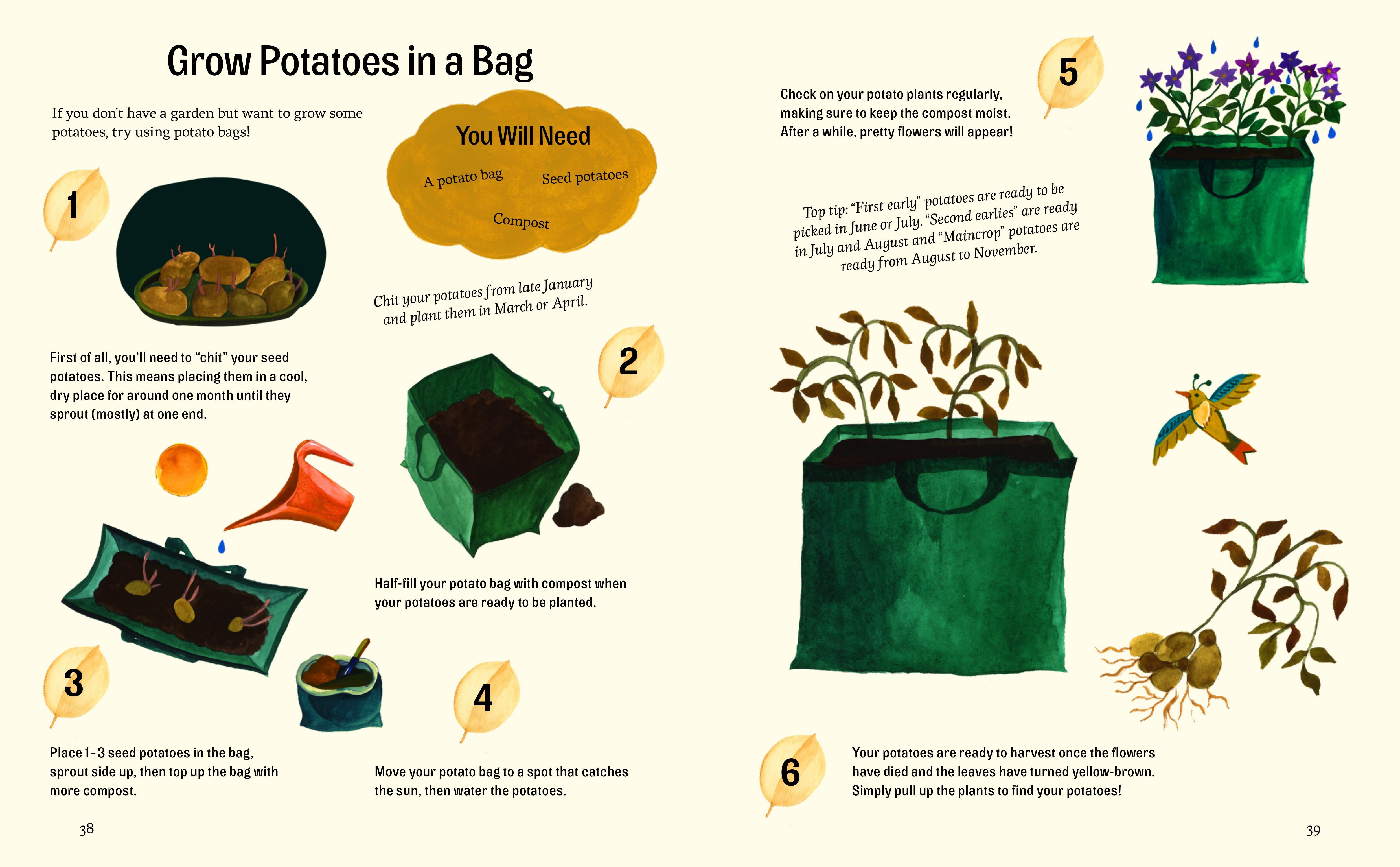 Discover how to grow potatoes in a bag with Little Green Fingers by Little Gestalten